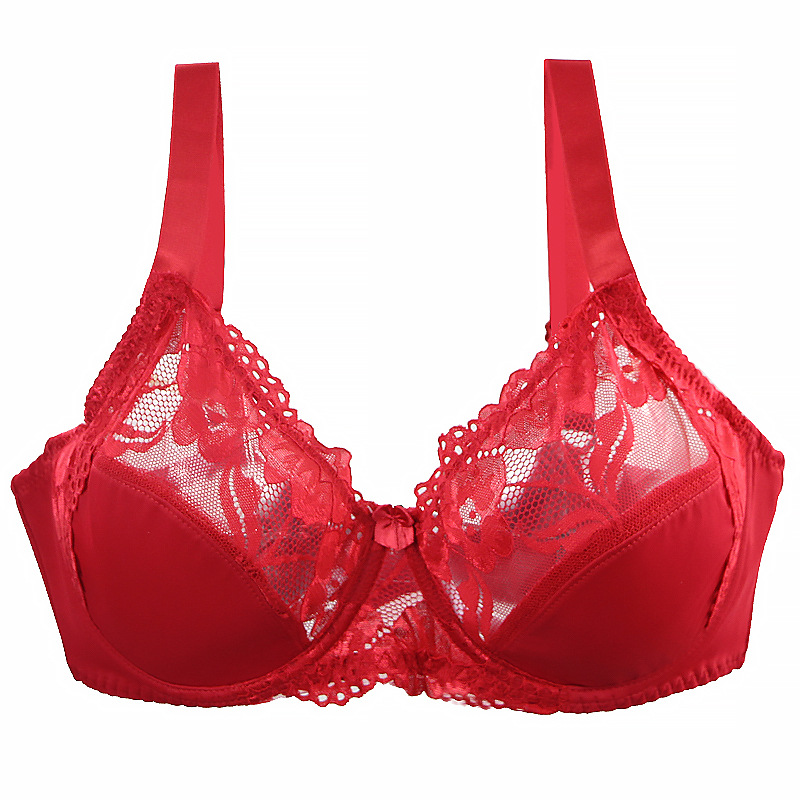 Minimizer Plus Size Underwire  - Full Coverage Bra 评论和价格